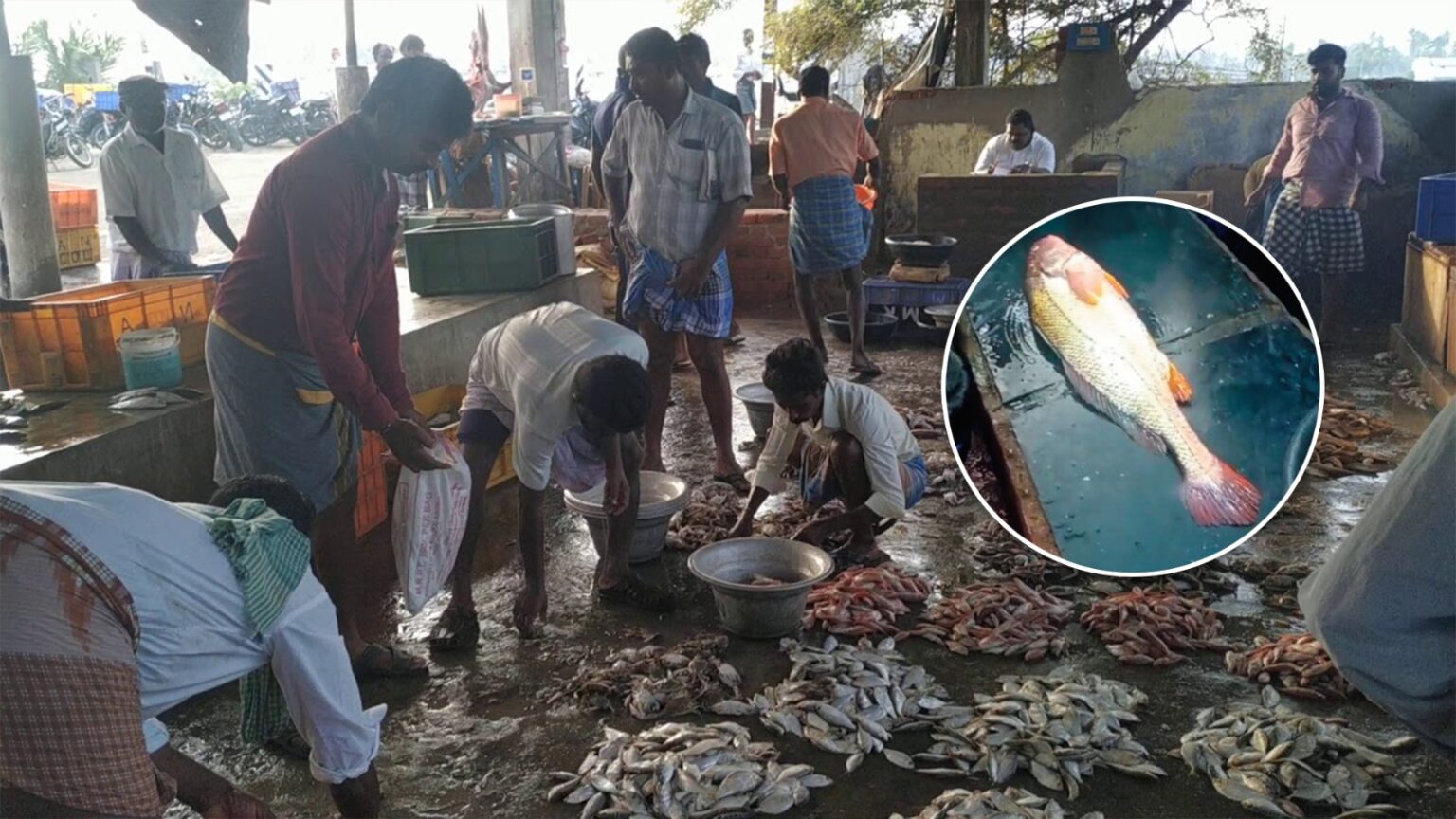 WhatsApp Image 2025 05 14 at 2.08.16 PM