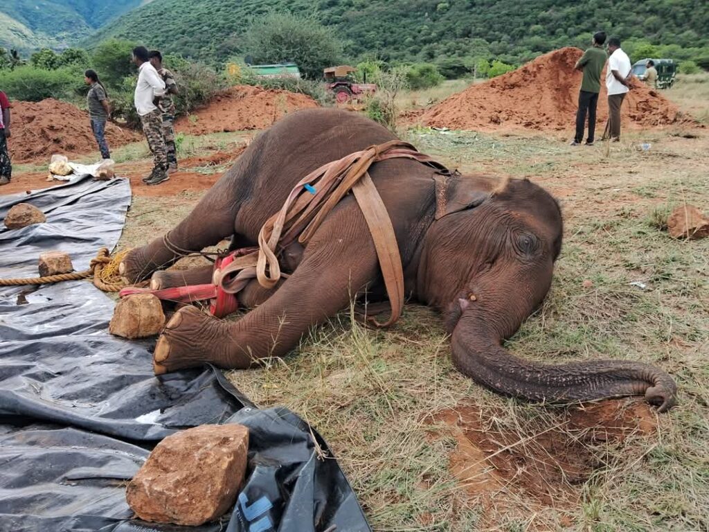 WhatsApp Image 2025 05 20 at 18.58.44 1