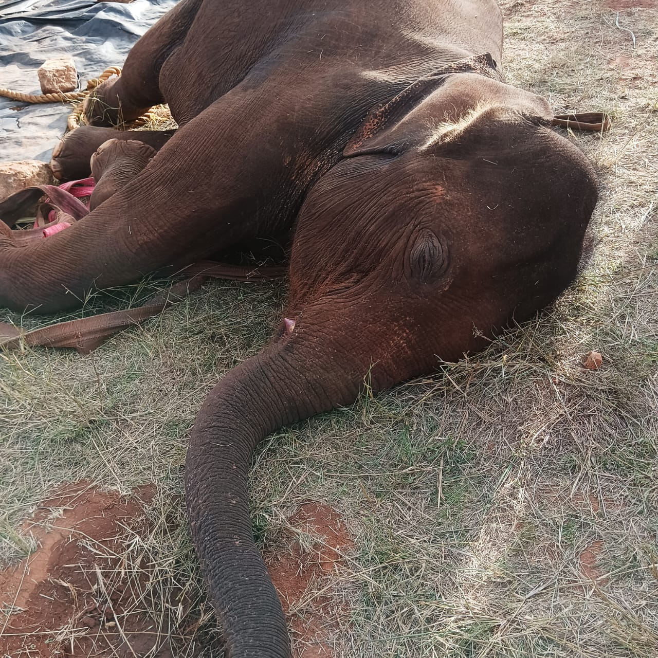 WhatsApp Image 2025 05 20 at 18.58.44