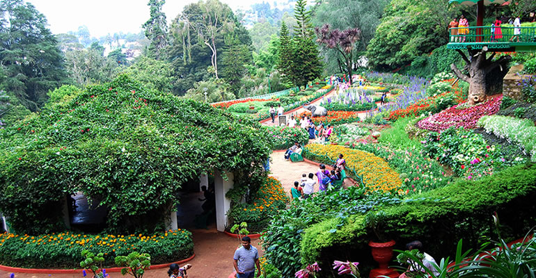 ooty flower show