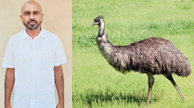 ஈமு கோழி குருசாமி