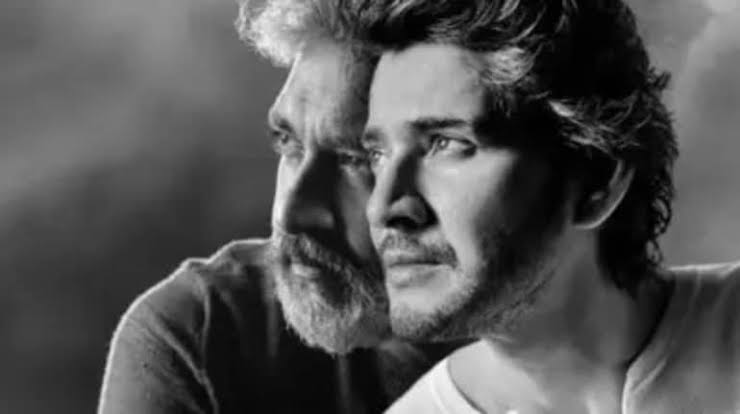 WhatsApp Image 2025 06 19 at 9.04.54 AM