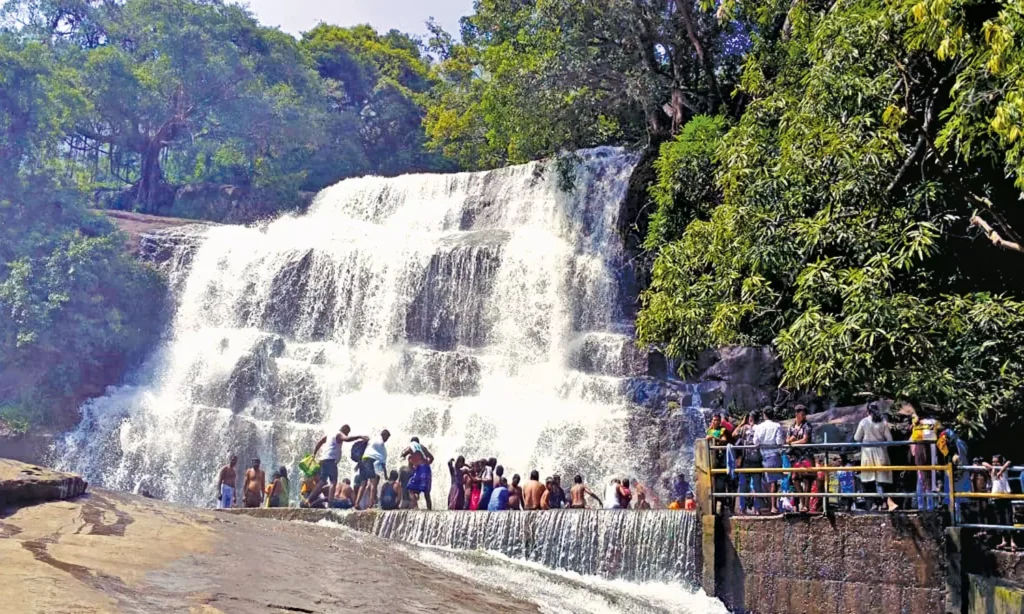 1981078 varusanadu 1