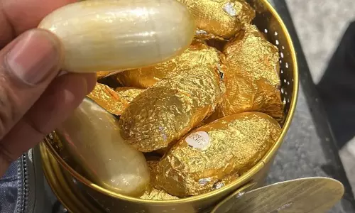 500x300 18062047 tn49