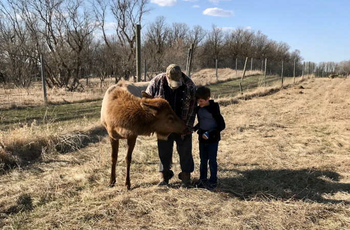 oldest deer beauty sniffing toddler
