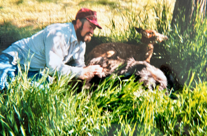 oldest deer lloyd in red hat playing with young beauty