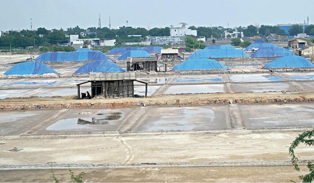 தூத்துக்குடியில் நடப்பாண்டில் 19 லட்சம் டன் உப்பு உற்பத்தி: விலை குறைவால் உப்பளங்களில் தேக்கம் salt