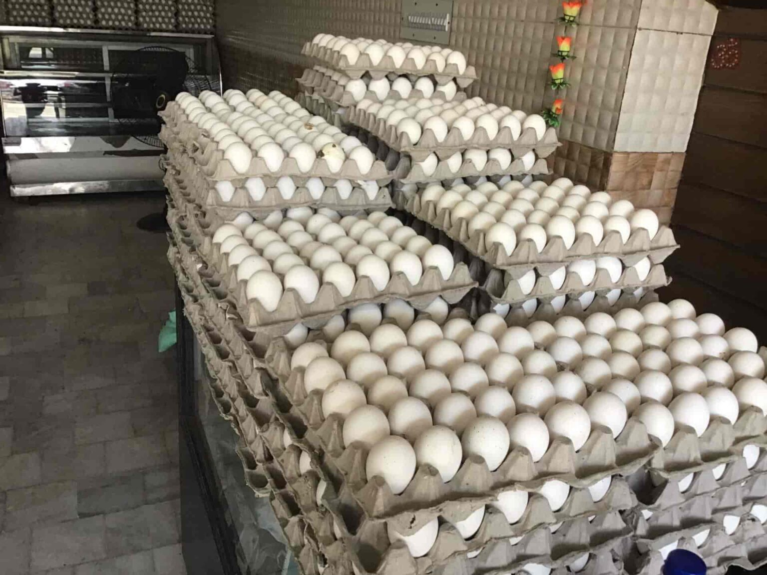ganesh eggs wholesale jammu cxvbxsedju