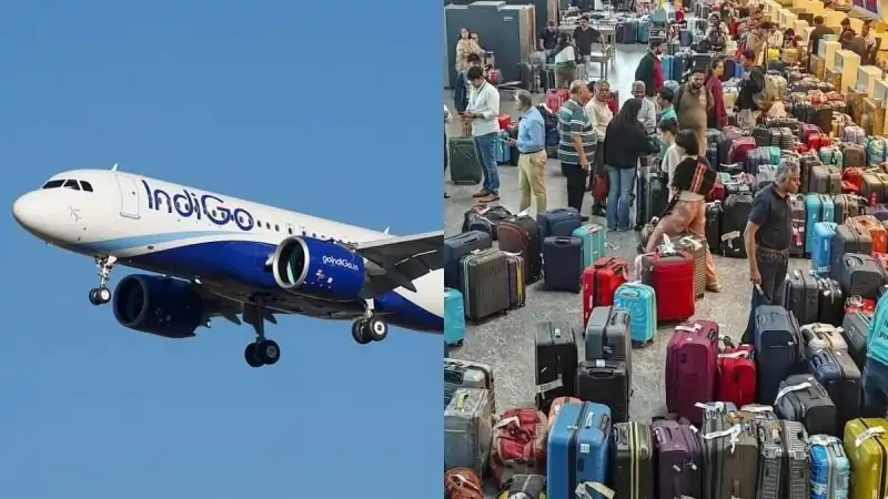 indigo 1000 crore loss