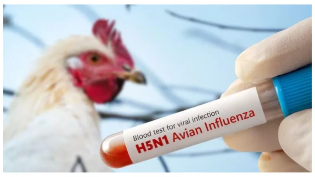 kerala bird flu