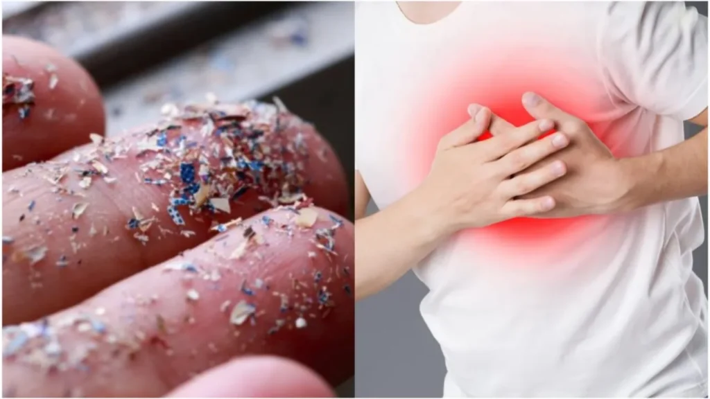 microplastics heart attack