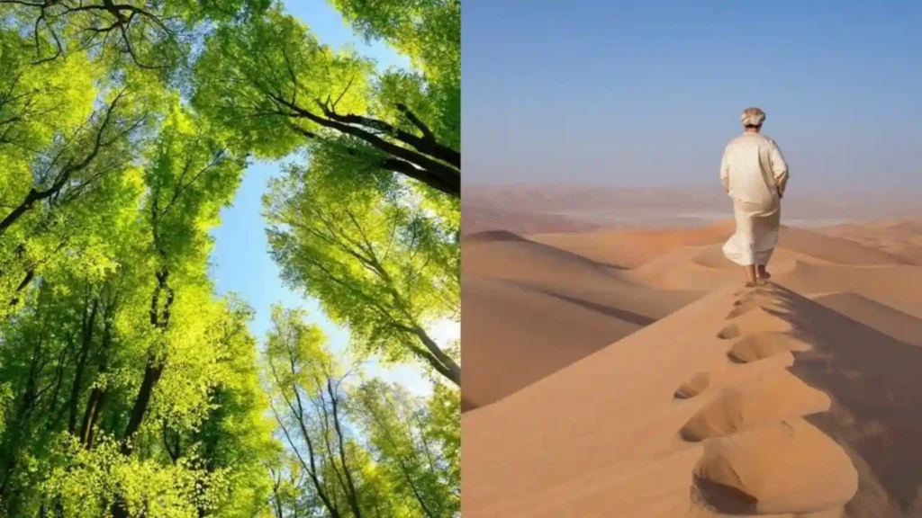 இந்த நாடுகளில் ஒரு மரம் கூட இல்லை!. மக்களுக்கு புதிய ஆக்ஸிஜன் எப்படி கிடைக்கிறது தெரியுமா?. Countries Without Trees