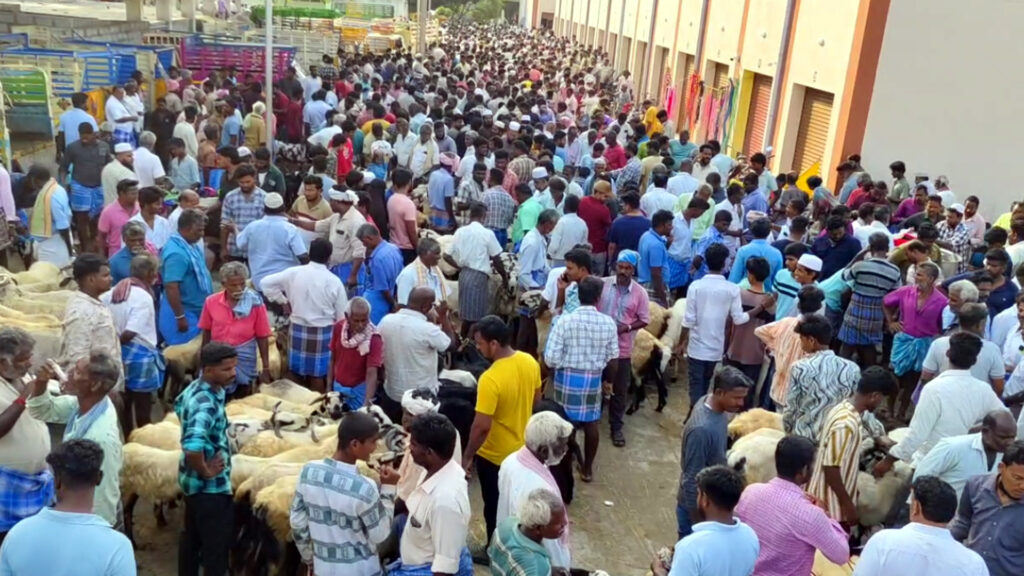 ரூ.3 கோடிப்பே… நெருங்கும் பக்ரீத்; ஆடுகள் விற்பனை அமோகம் – இது ராணிப்பேட்டை நிலவரம் 1 006 goat A