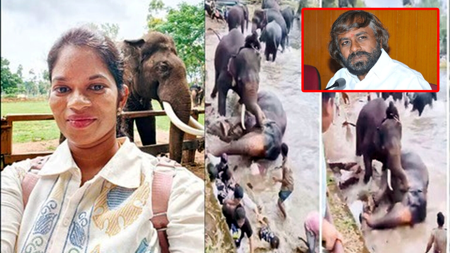 விலங்கு சரணாலயங்களில் இனி சுற்றுலாப் பயணிகளுக்கு இதற்கு தடை..!! கர்நாடக அரசு அதிரடி உத்தரவு..!! 014 karanataka