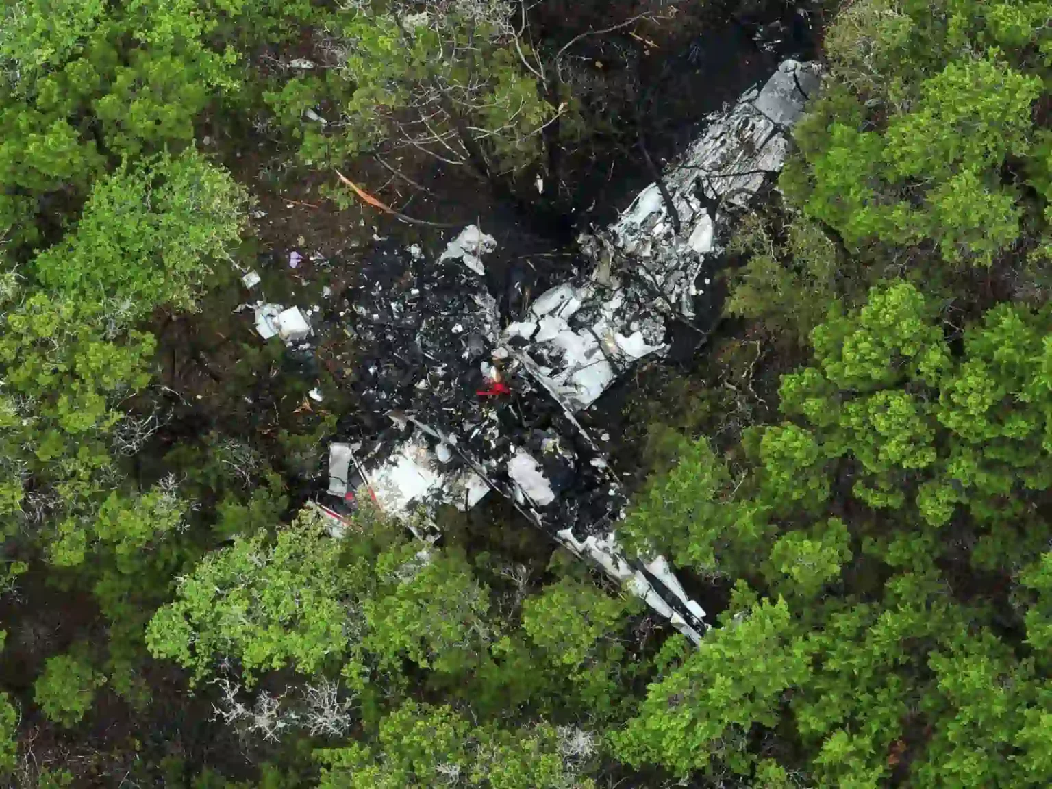 5 killed small plane crashes