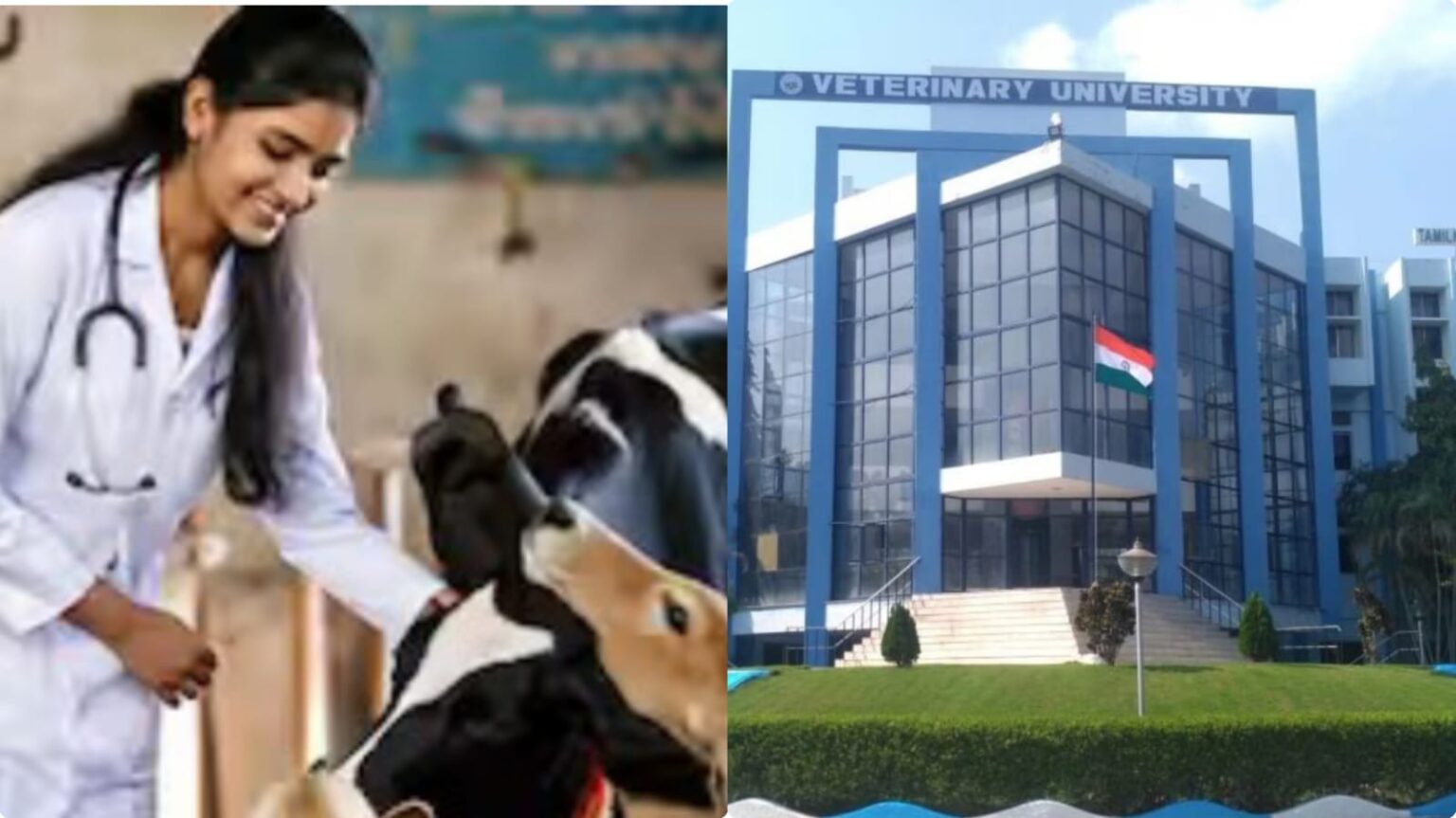 Applications veterinary courses