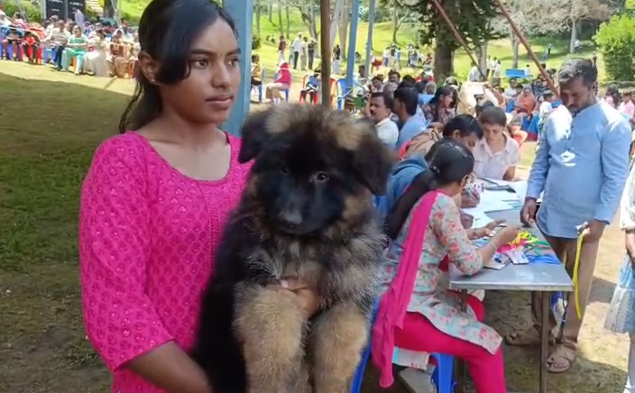 கொடைக்கானல் கோடை விழா: பல வகை நாய்களின் கண்கவர் அணிவகுப்பு! 1 Dog 2