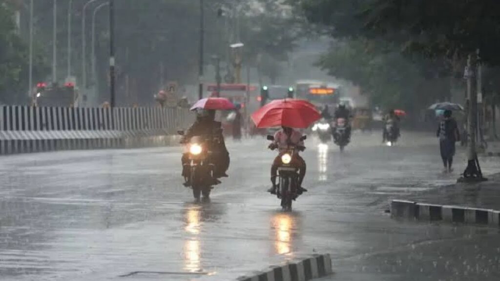 Rain