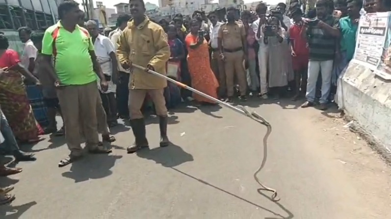 kallakurichi snake