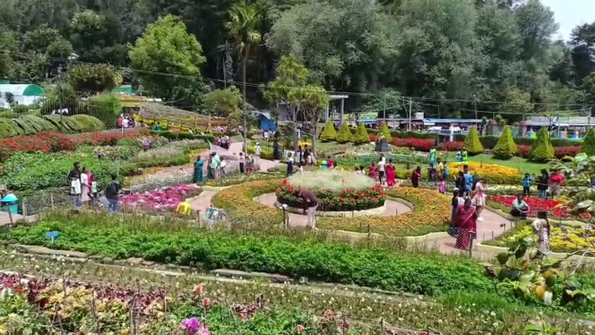 கொடைக்கானல் மலர்க் கண்காட்சி... காதல் ஜோடிகளைக் கவரும் 'செல்ஃபி பாயிண்ட்' 3 vlcsnap 2026 05 23 18h14m02s138