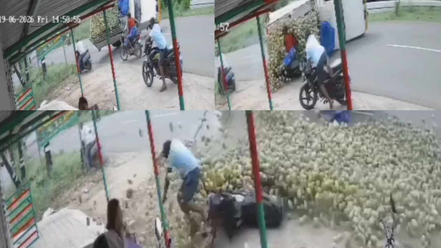 சாலையில் சாய்ந்த மாங்காய் ஏற்றிவந்த பிக்கப் வாகனம் ; அடியில் சிக்கிய இருவரின் நிலை என்ன? 007 accidetn