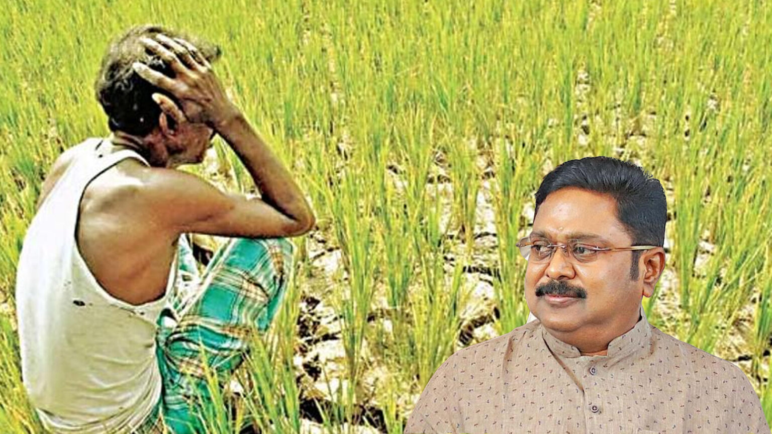 பயிர்க்கடன் தள்ளுபடி; முரணாகச் செயல்படுகிறது தவெக அரசு – டிடிவி தினகரன் குற்றச்சாட்டு 012 ttv
