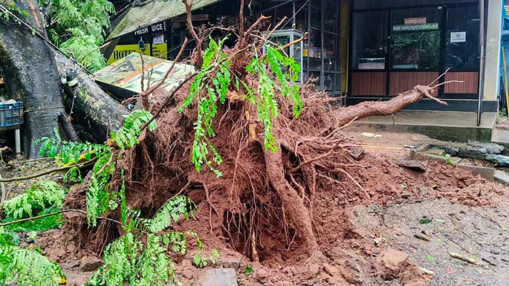 கேரளாவில் வெளுத்து வாங்கும் பேய் மழை..!! இதுவரை 7 பேர் உயிரிழப்பு..!! தொடரும் சோகம்..!! image 31 1