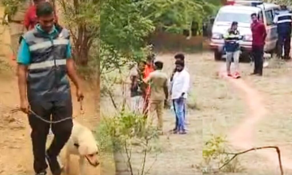 கோவையில் பரபரப்பு: அரை நிர்வாண நிலையில் இளம்பெண் உயிரிழப்பு..!! உண்மை என்ன? image 31 9
