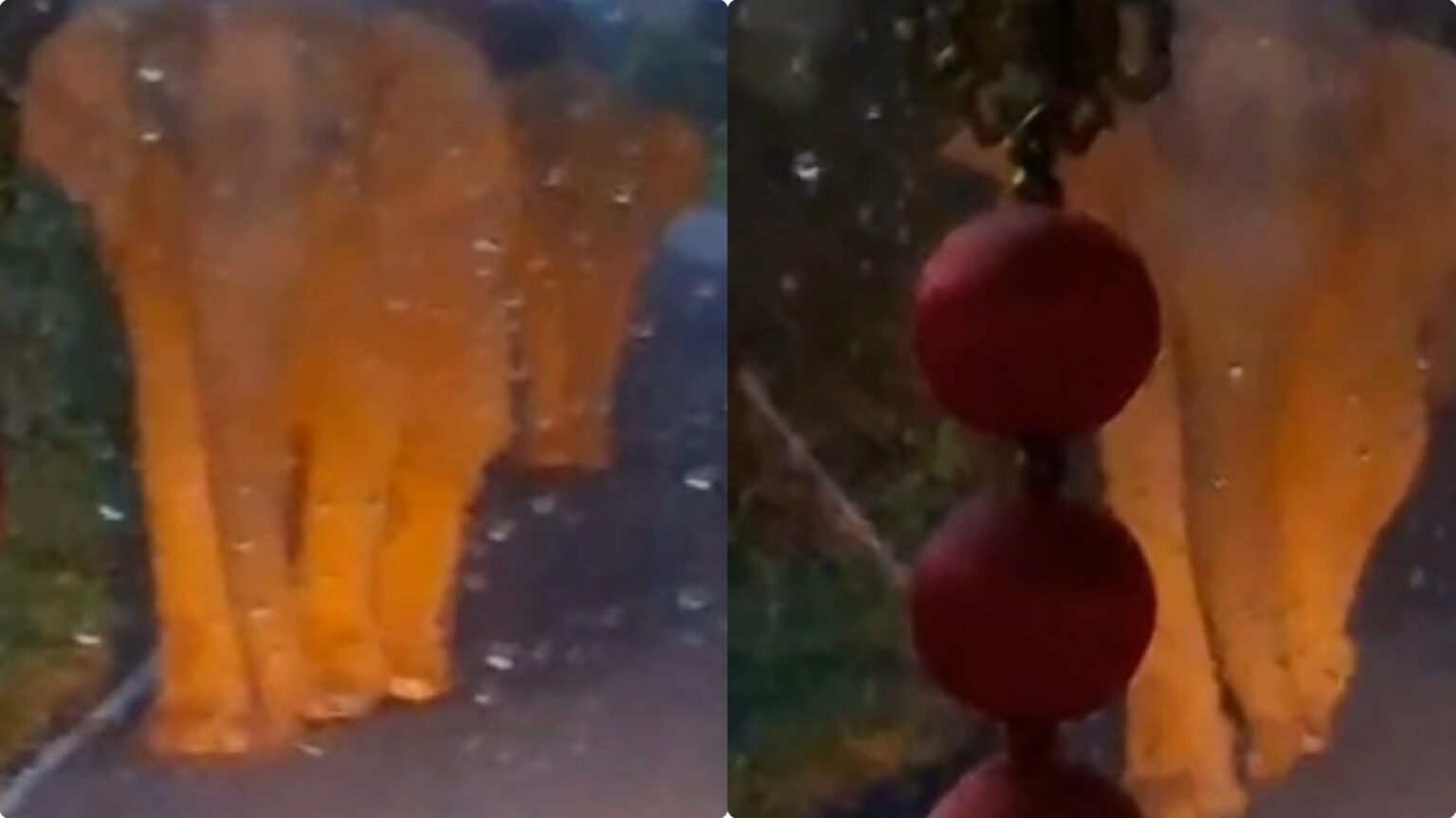 நடுவழியில் நின்ற யானைக்கூட்டம்!. அரசு பேருந்தை ஆக்ரோஷமாக தாக்கிய கபாலி!. பயணிகள் அலறல்! valparai elephant