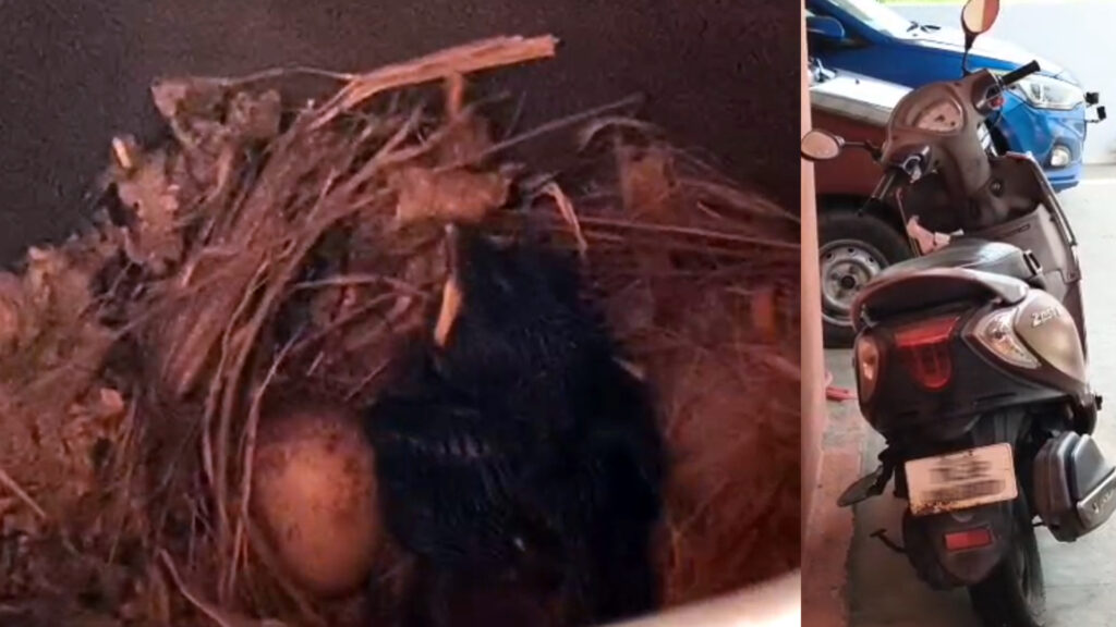 அடடே இப்படியும் மனிதர்களா? – குருவிக்காக ஸ்கூட்டி தியாகம்! 008 kuruvi