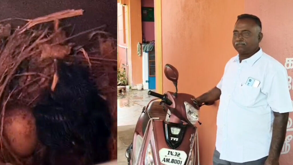 அடடே இப்படியும் மனிதர்களா? - குருவிக்காக ஸ்கூட்டி தியாகம்! 1 008 kuruvi A