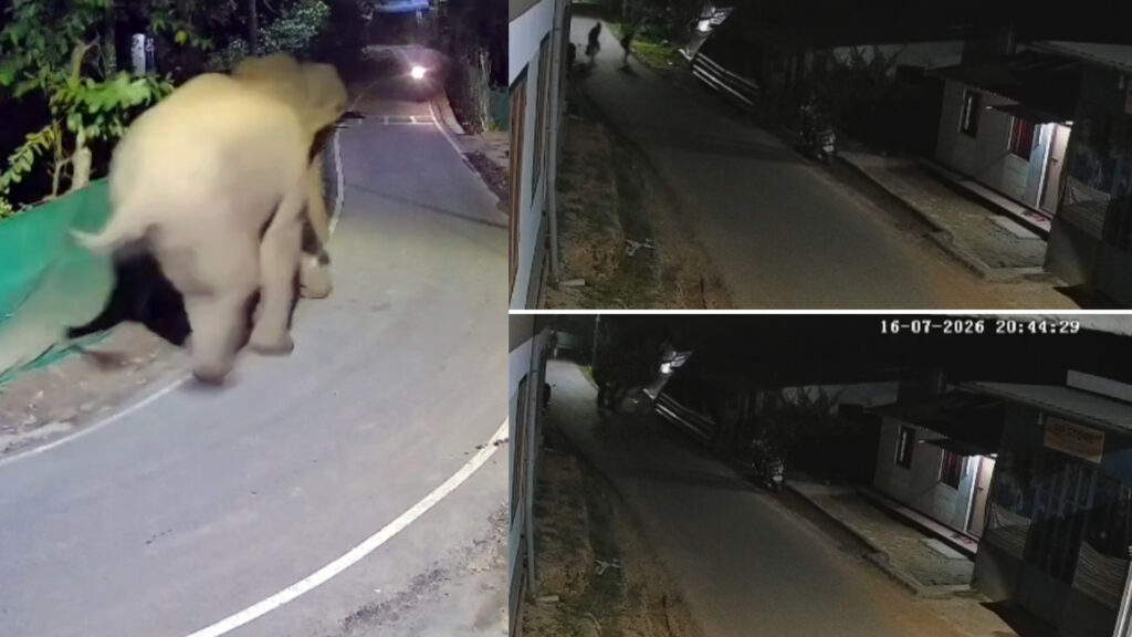 கூடலூர்; சாலையில் திடீரென வந்த ஒற்றைக் காட்டு யானை – நூலிழையில் உயிர்தப்பிய இளைஞர்கள் 013 elephant 1