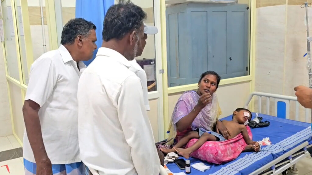 வாணியம்பாடி ; 4 வயது சிறுவனை கடித்துக் குதறிய நாய்… பதறவைக்கும் பகீர் சிசிடிவி காட்சி! 1 015 dog A
