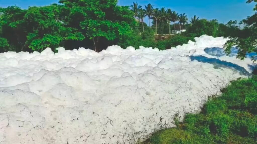 கெலவரப்பள்ளி அணையில் நுரை பொங்கும் விவகாரம்..!! தேசிய பசுமைத் தீர்ப்பாயம் அதிரடி உத்தரவு..!! image 22 6