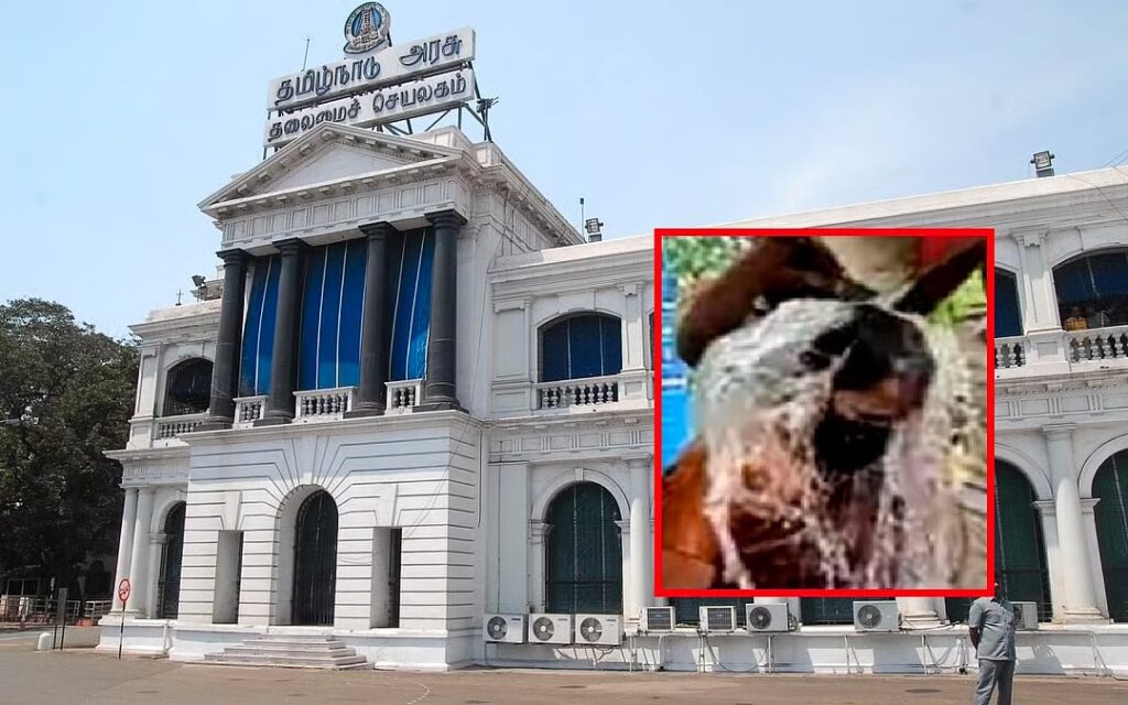 முதலமைச்சர் தனிப்பிரிவு முன் அவசர பாதுகாப்பு ஏற்பாடு..!! தீயணைப்பு வீரர்கள் நியமனம்! image 28 9