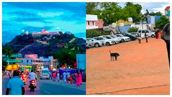 பழனி கோயிலின் ரூ.100 கோடி சொத்து பத்திரப்பதிவு ரத்து? அதிகாரிகள் மீது விசாரணை தீவிரம்! image 42