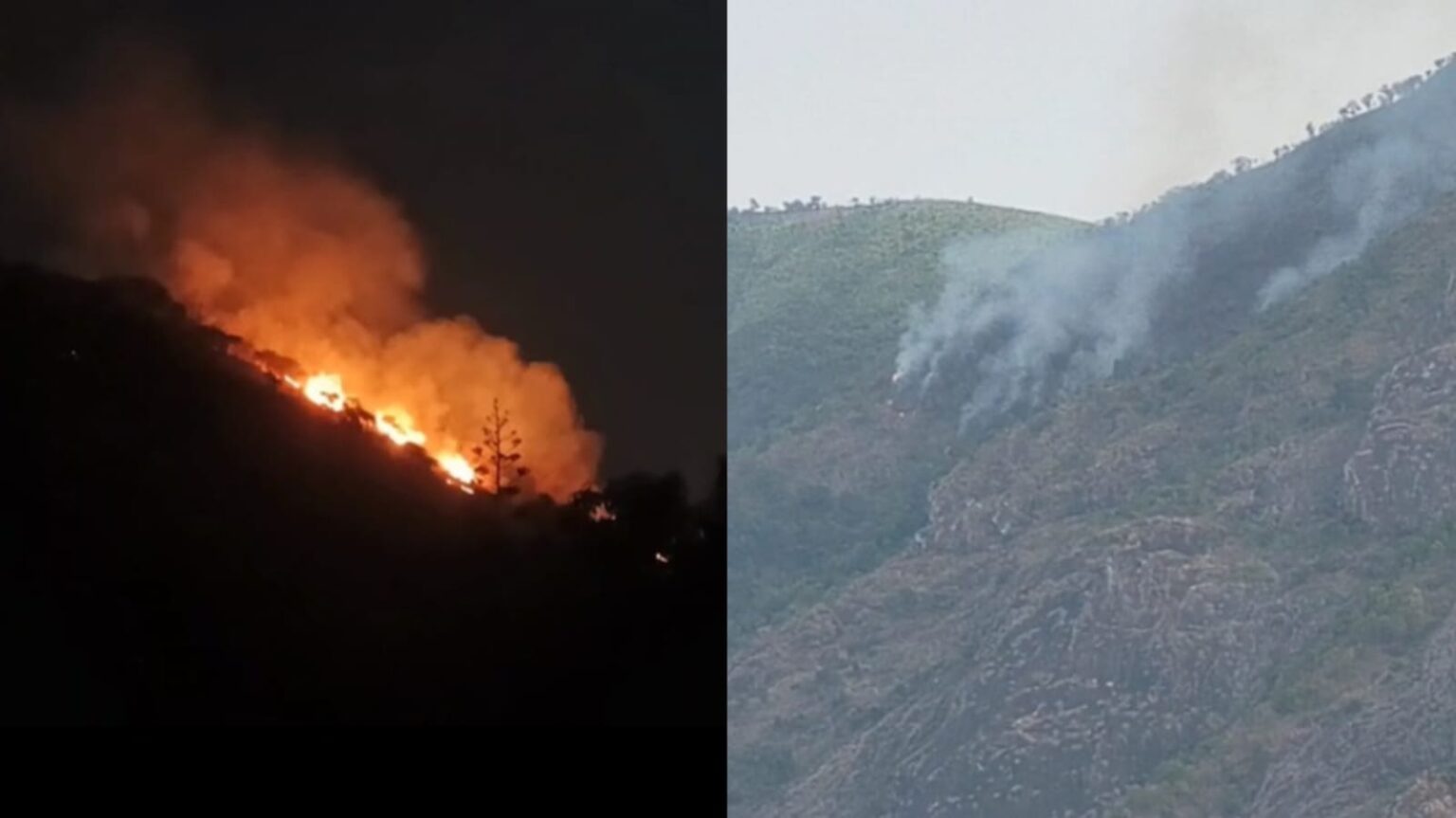 theni Terrible forest fire