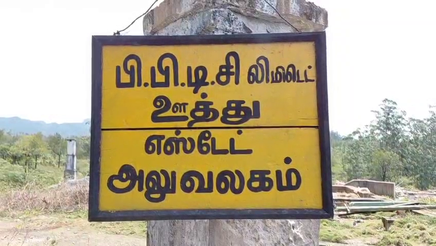 மாறும் மாஞ்சோலை... எஸ்டேட் அடையாளங்கள் அழிப்பு; மீண்டும் காடாகும் மலைப்பகுதி! 1 vlcsnap 2026 07 19 12h42m17s373