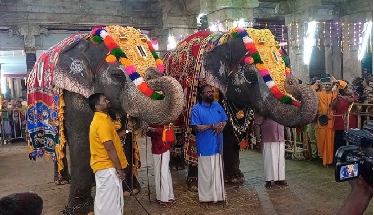 கோவில் விழாக்களில் யானைகள் பயன்பாடு: தமிழக அரசுக்கு உயர் நீதிமன்றம் நோட்டீஸ் Elepahants