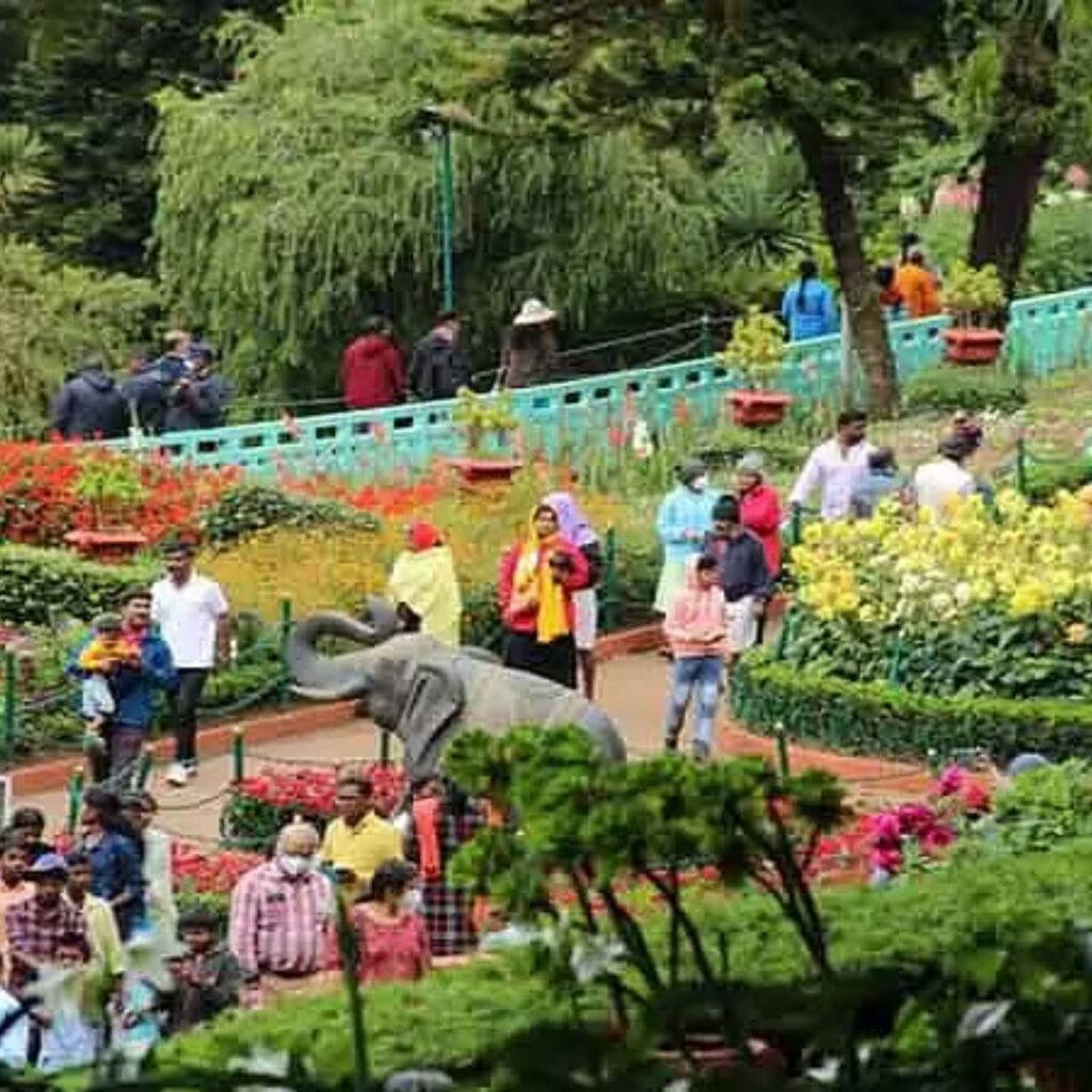 ooty