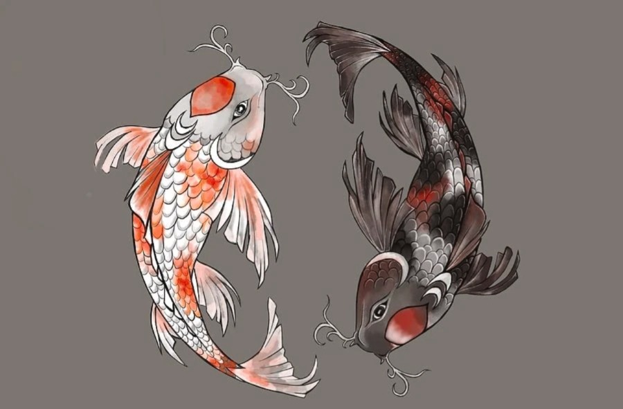 pisces