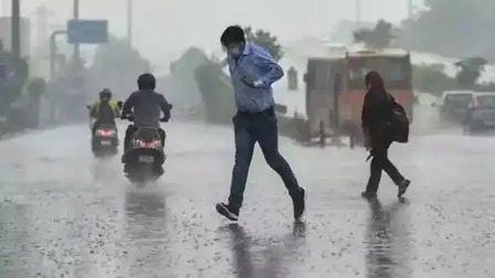 rain 1