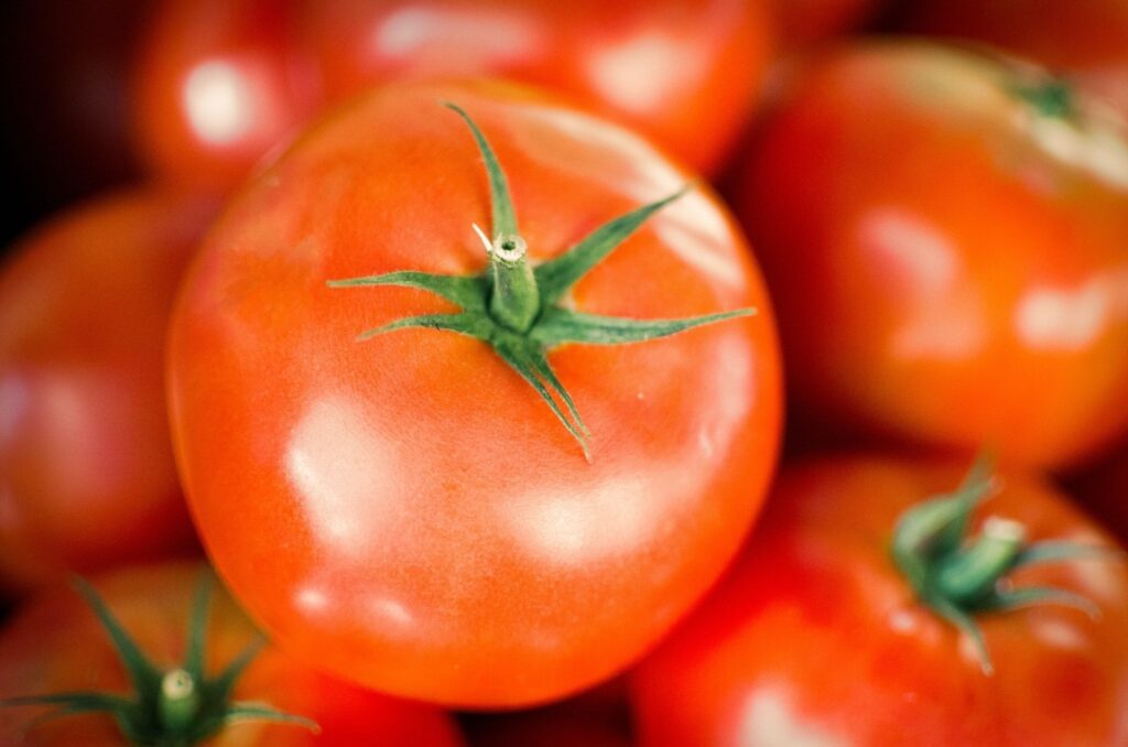 tomato6