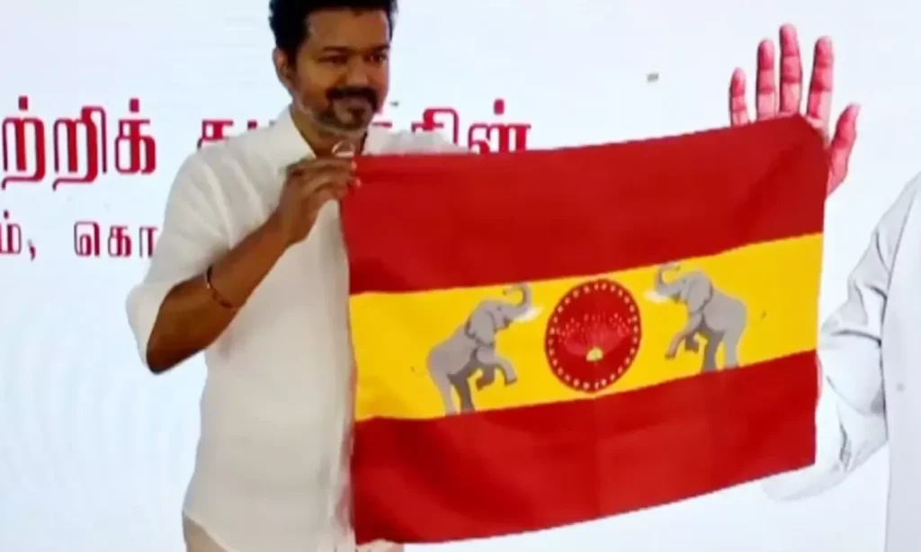 4231557 tvkpartyflag